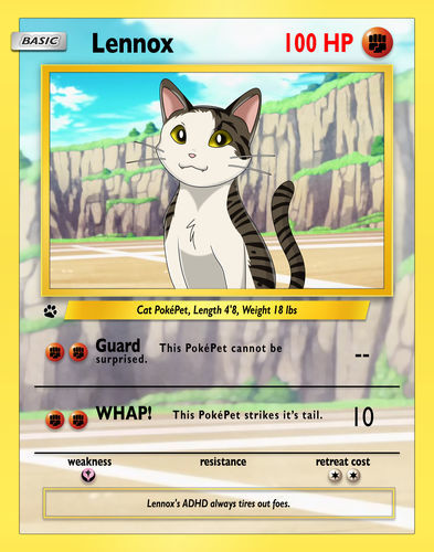 Customer photo review of Pokemon Hand Drawn Pet Portraits