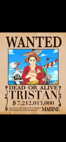 Customer photo review of One-Piece Wanted Poster Portrait