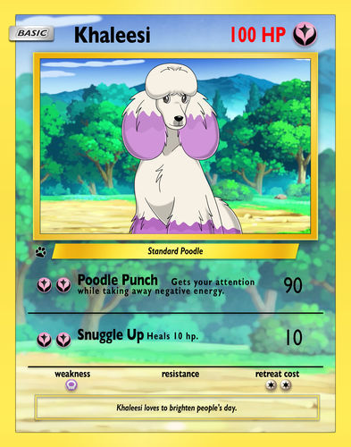 Customer photo review of Pokemon Hand Drawn Pet Portraits