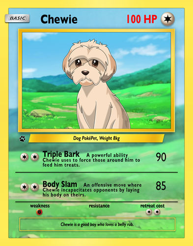 Customer photo review of Pokemon Hand Drawn Pet Portraits