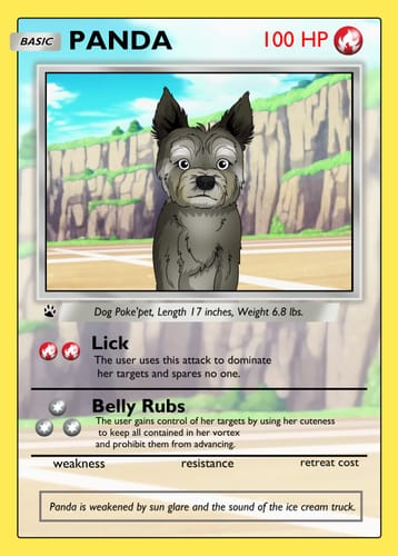 Customer photo review of Pokemon Hand Drawn Pet Portraits