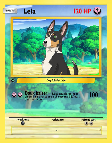 Customer photo review of Pokemon Hand Drawn Pet Portraits