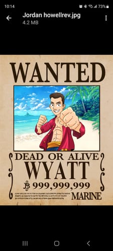 Customer photo review of One-Piece Wanted Poster Portrait