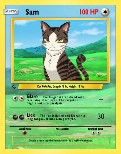 Customer photo review of Pokemon Hand Drawn Pet Portraits