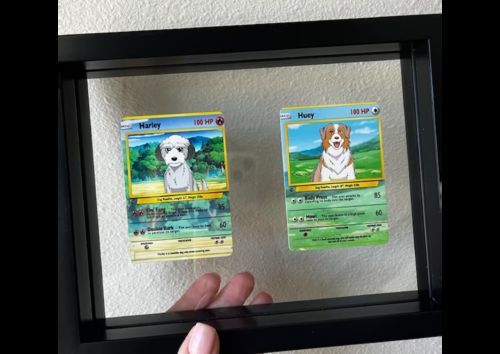 Customer photo review of Pokemon Hand Drawn Pet Portraits