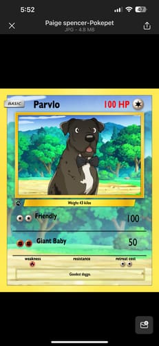 Customer photo review of Pokemon Hand Drawn Pet Portraits