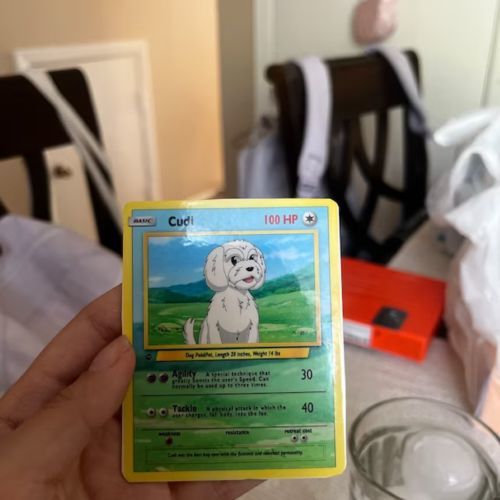 Customer photo review of Pokemon Hand Drawn Pet Portraits