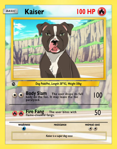 Customer photo review of Pokemon Hand Drawn Pet Portraits