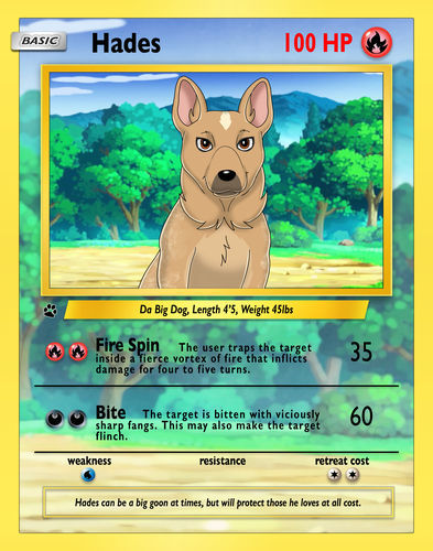 Customer photo review of Pokemon Hand Drawn Pet Portraits